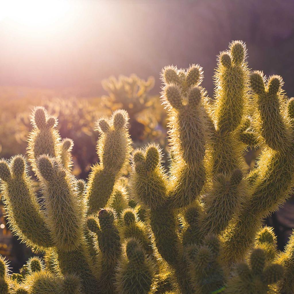 Mautstationen-Analyse in Deutschland