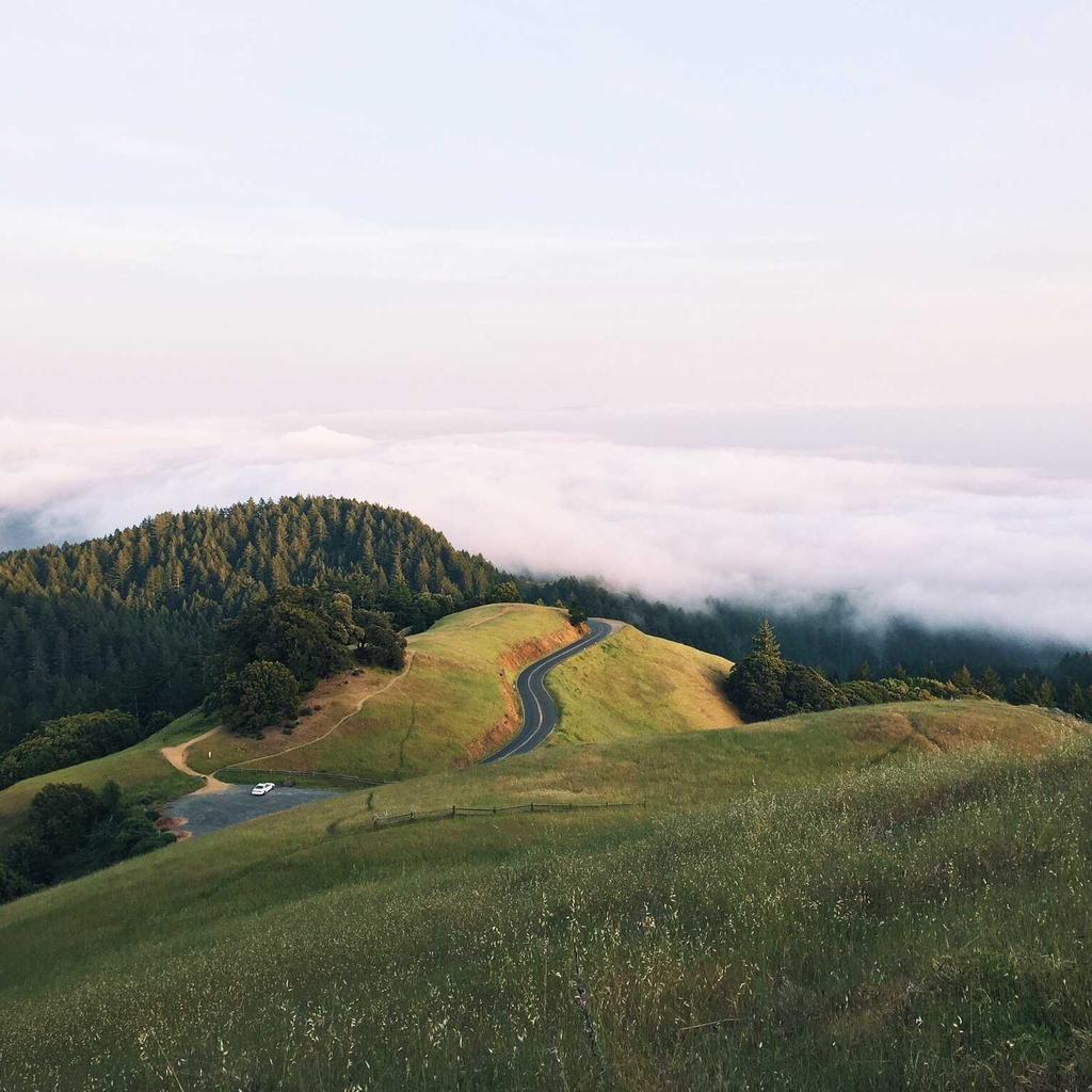 Experteninterviews mit Mautbehörden